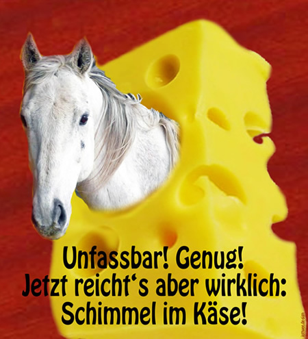 schimmelkaese