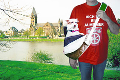 hundebeutel wird pflicht