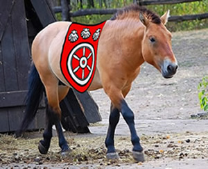 ...reiten füre großauheim: die przewalskis