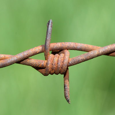 stacheldraht